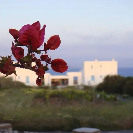 Holiday For Families And Couples Casa vacanze Ambelas